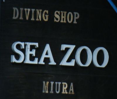 DivingShop SeaZoo miuraの最新写真