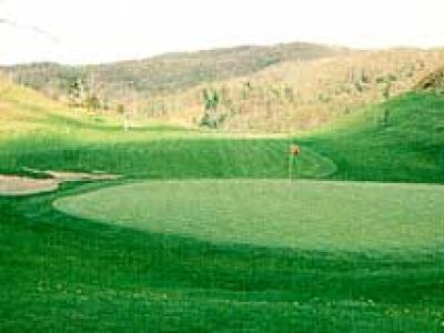 アロハリゾートの最新画像