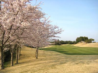 千葉桜の里ゴルフクラブの最新画像