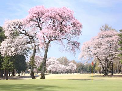 信州伊那国際ゴルフクラブの最新画像