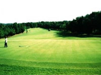 六甲国際パブリックコースの最新画像