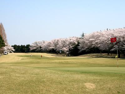 白帆カントリークラブの最新画像