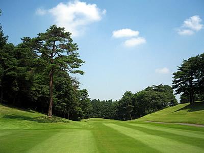 大日向カントリー倶楽部の最新画像