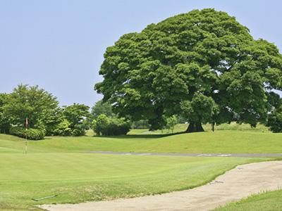 もおか鬼怒公園ゴルフ倶楽部 いちごゴルフクラブの最新画像