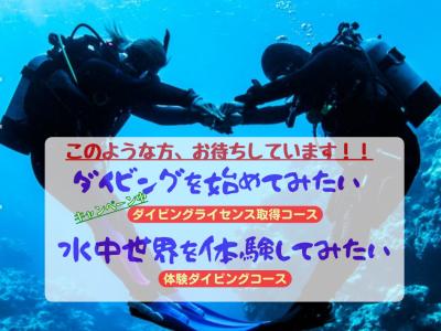 の最新写真