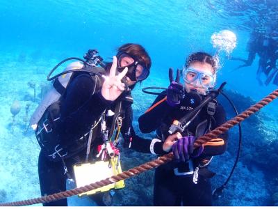 シーステップダイバーズの最新写真