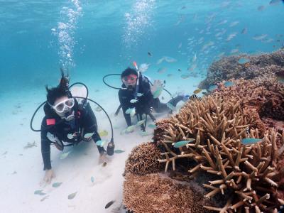 石垣島FLOWFISHの最新写真