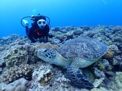 シード沖縄の最新写真