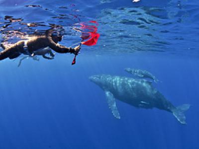 MOGURINA モグリナの最新写真