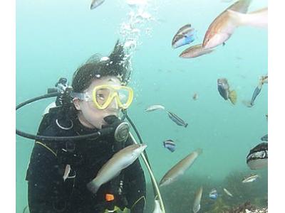 ダイブファミリーイエローの最新写真