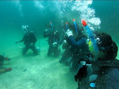 Ohana with オハナウィズの最新写真