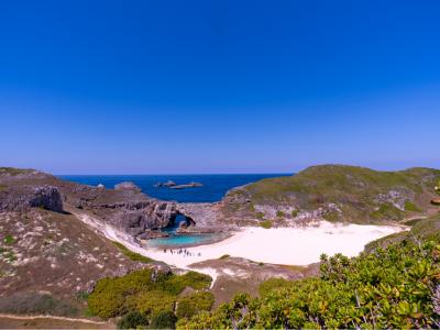 父島ネイチャーガイドPolarisの最新写真