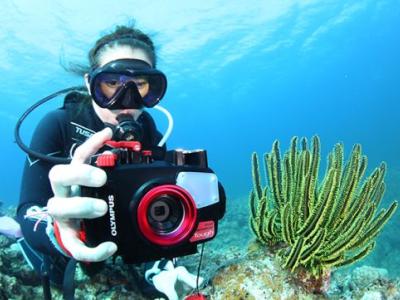 ビーチライフ石垣島の最新写真