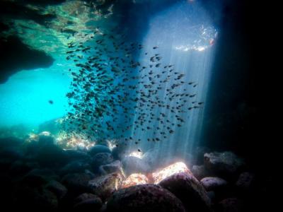 Clover Diving Serviceの最新写真