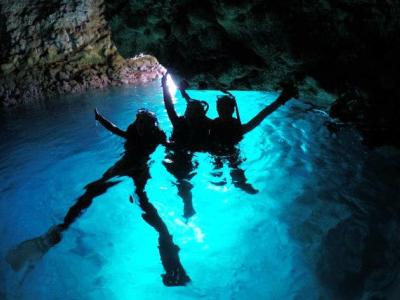 ルーツダイブ Rooots Diveの最新写真