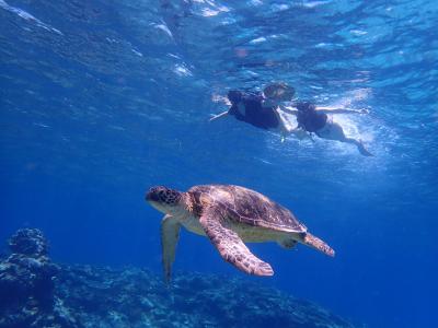 カイザーマリンクラブの最新写真