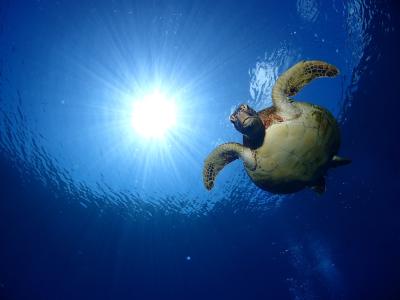 なわ安の最新写真