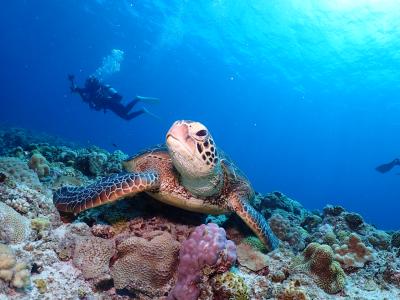 ダイビングショップ ソルキス SOLKISSの最新写真