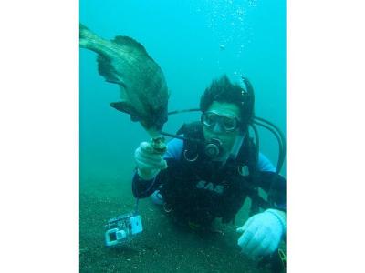 館山ダイビングサービスS A R Aの最新写真