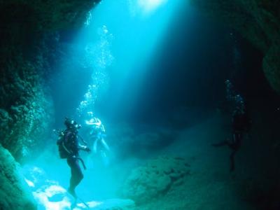 ダイビングステーションKANCHIの最新写真