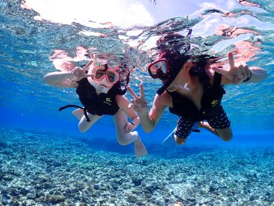 パイレーツマリンクラブの最新写真