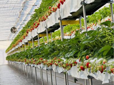 Mori's Farm モリズファームの最新写真