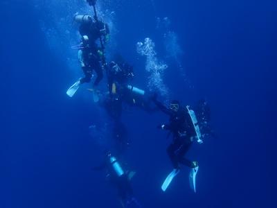 城ケ島ダイビングセンターの最新写真