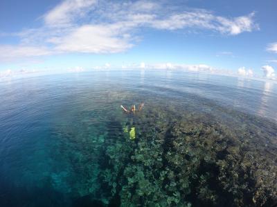 宮古島ダイビングリゾートＲＥＥＦの最新写真