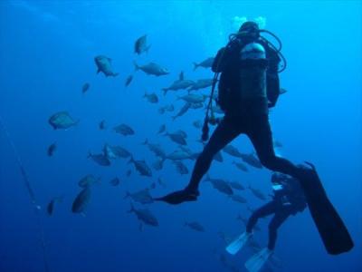 マイダイブ MyDiveの最新写真