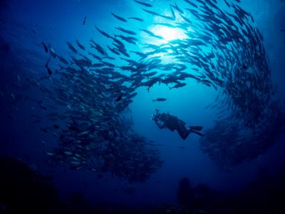 divers-incの最新写真