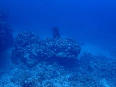 ヌヌ・アドベンチャー・クラブ石垣島の最新画像