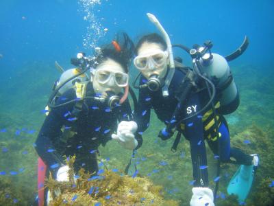 ダイブショップ宝島の最新写真