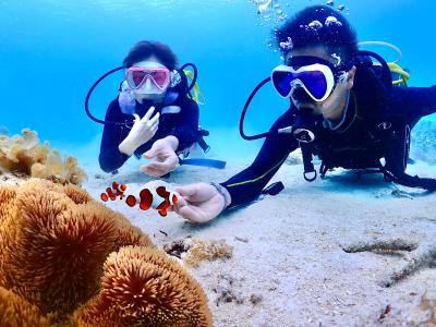 宮古島サマーパーティーの最新写真