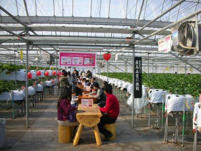 グルメいちご館前田の最新写真