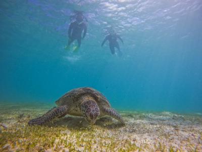 奄美大島北部ダイビングショップ LeapScubaAmamiの最新写真