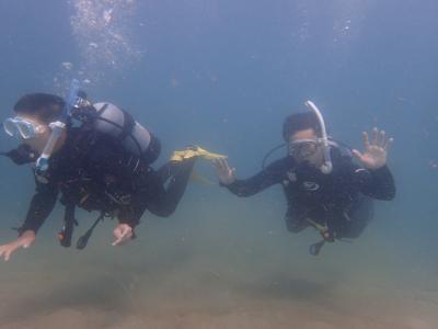 NOAH’S DIVE WAKAYAMA ノアズダイブの最新画像