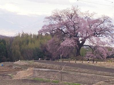 武田乃郷　白山温泉の最新写真