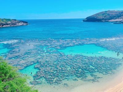 ブリーズハワイ Breeze Hawaiiの最新写真