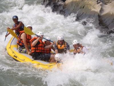 シャイニングフィールドの最新写真