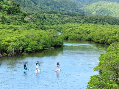 西表島ツアーNGAFの最新写真