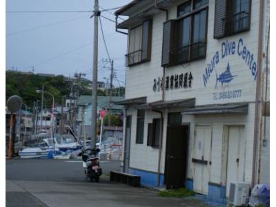 MIURA DIVE CENTERの最新写真