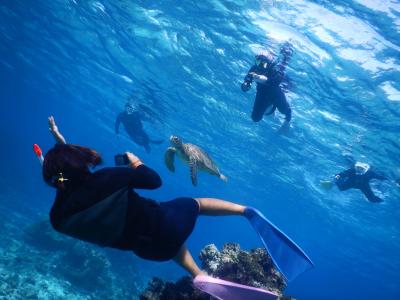 宮古島シュノーケル専門店 海umiの最新写真