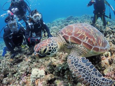 マリンハウスカナロア MARINE HOUSE Kanaloaの最新写真