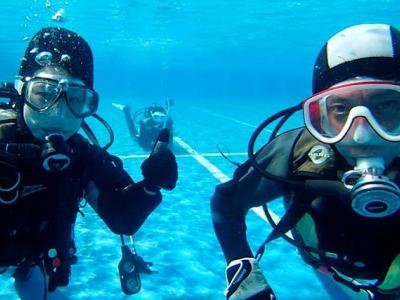 湘南DIVE.comの最新写真