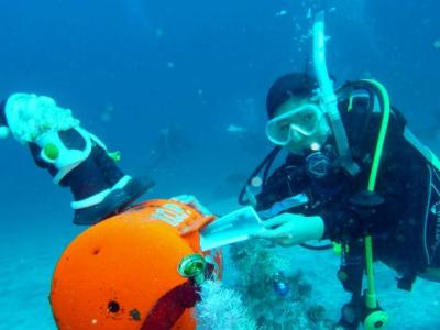 伊豆高原ダイビングスクール リトルリッツの最新写真