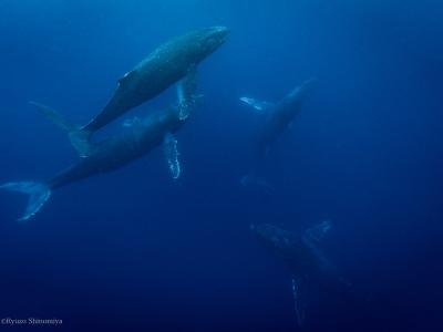 ゼログラヴィティ　清水ヴィラの最新写真