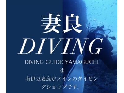 妻良DIVINGの最新写真