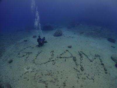 GO DIVE GUAM ゴーダイブグアムの最新画像