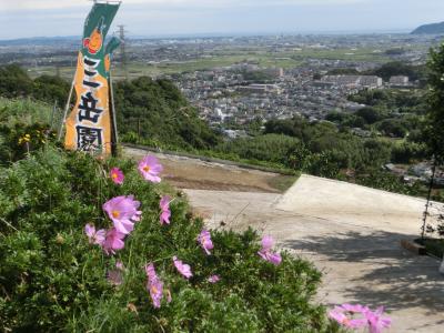 三岳園の最新写真