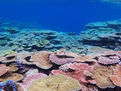 mtkサービスの最新写真